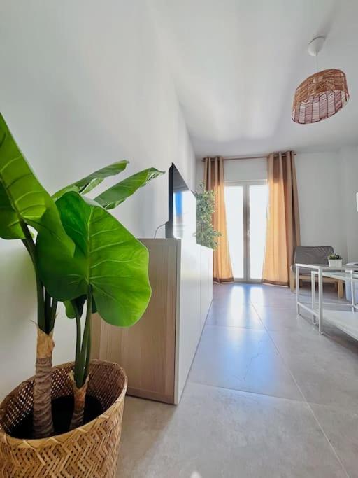Lovely Apartment Close By City Center Málaga Exterior foto